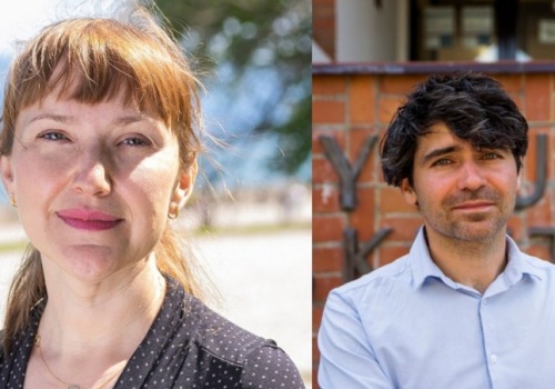 Polska ma komary przenoszące malarię: czy mamy się czego obawiać? Eksperci w Światowy Dzień Malarii