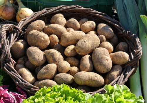 30 ton warzyw zamiast do kosza trafi do mieszkańców. Kraków rusza z dużą akcją zero waste