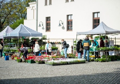 Ruszył wiosenny jarmark na Zamku Piastowskim w Raciborzu