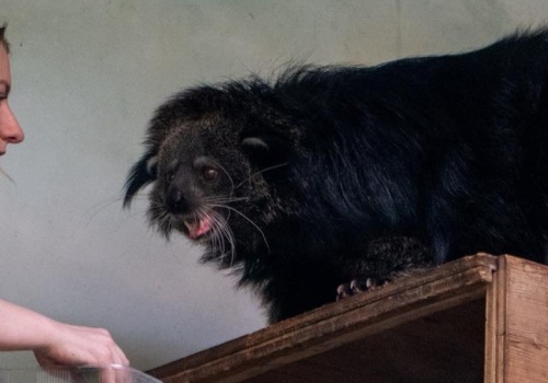 Pracownik łódzkiego ZOO poszukiwany. Potrzebny opiekun egzotycznych zwierząt