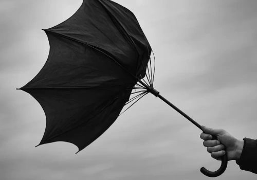 Silny wiatr do niedzieli. Ostrzeżenie dla mieszkańców powiatu