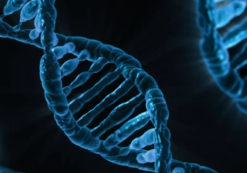 Czy płodność mamy zapisaną w DNA? Geny mogą skracać drogę do rodzicielstwa