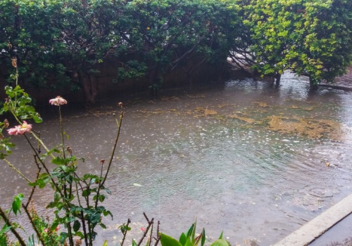 Konflikt z sąsiadem o zalaną działkę. Przyjdzie gmina i nakaże rozbiórkę