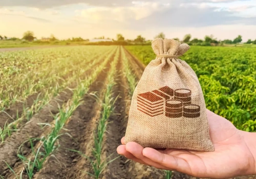 Koniec dopłat dla rolników po 65. roku życia? UE szykuje duże zmiany