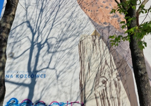 Ptasie murale na Kozłówku zniszczone (Galeria)