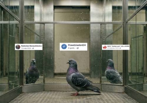 Odkryliśmy kto podszywa się pod BRD24 w sieci