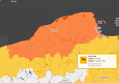 IMGW ostrzega przed silnym wiatrem. Wydano ostrzeżenia dla części województw