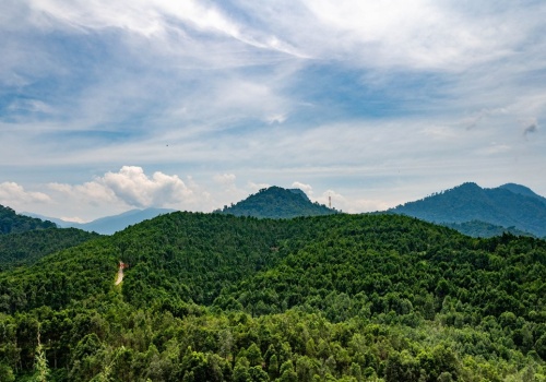 Tajemniczy dom spokojnej starości dla... 20-latków. Czy naprawdę istnieje?
