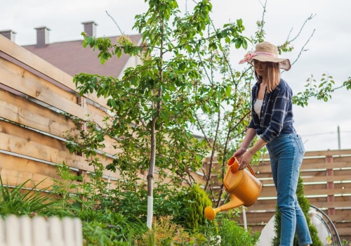 Od lat stosuje w moim ogrodzie. Rośliny rosną jak na drożdżach