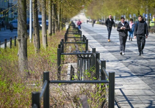 Koniec z wydeptanymi rabatami. Zieleń w Alejach zyskała ochronę