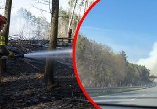 Pożar lasu pod Bydgoszczą. Dym zasłania S10