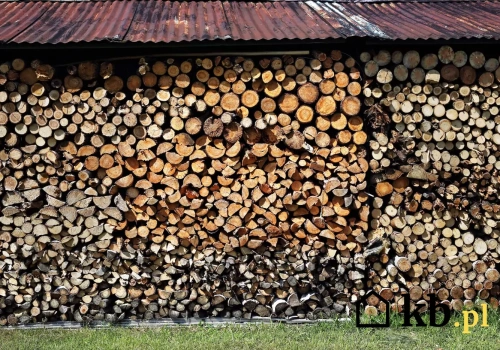 Układasz drewno w ten sposób? Po roku straci nawet 40% wartości opałowej
