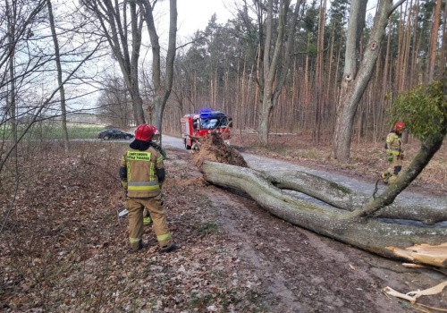 Służby MSWiA w gotowości. Strażacy interweniowali już ponad 120 razy z powodu wichur