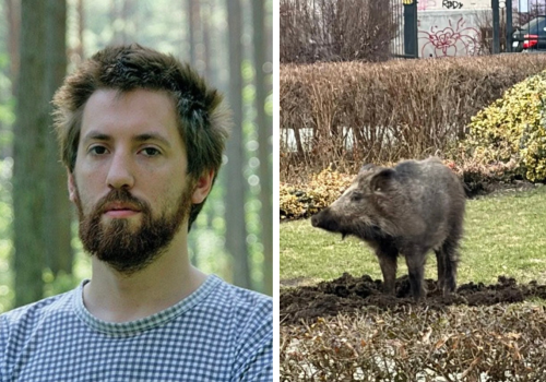 Wildstein nie wytrzymał. „Gdzie jesteście, gdy naprawdę dzieje się zło?”