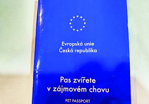 Nowe przepisy dla podróżujących ze zwierzakiem