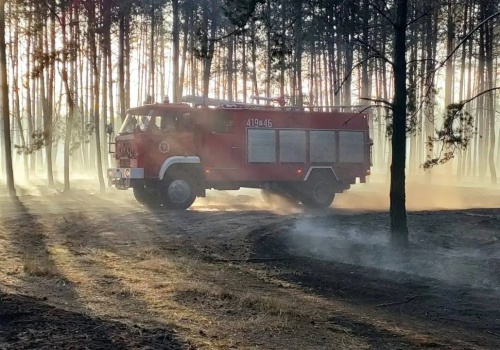 Alerty dla 13 województw. Strażacy mają ręce pełne roboty