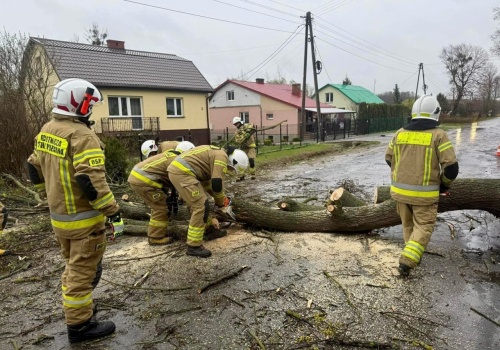 Silny wiatr w regionie. IMGW ostrzega przed porywami do 85 km/h