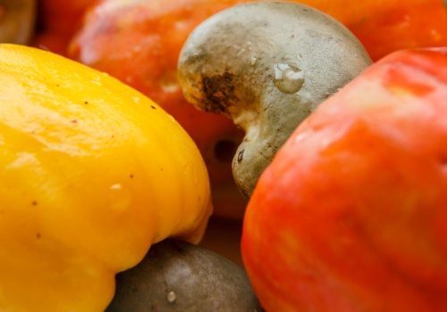 70 zł za kilogram. Najbardziej trująca roślina na świecie, a Polacy jedzą garściami