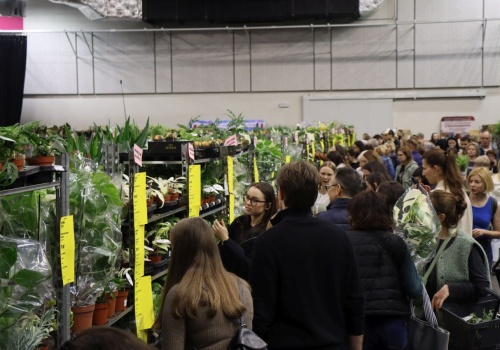 Festiwal Roślin w Krakowie. Ogromny wybór i darmowy wstęp