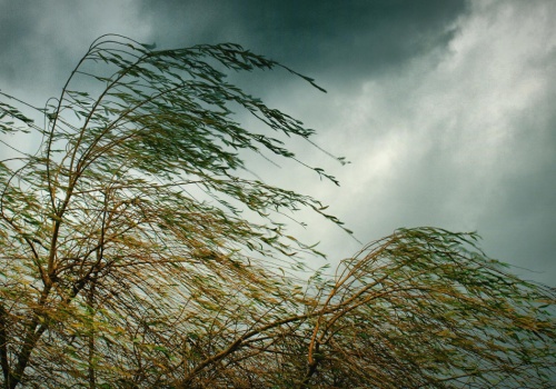 Silny wiatr i opady – to może być trudna noc w regionie