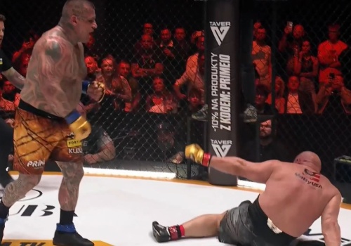 Wojna w klatce z udziałem 