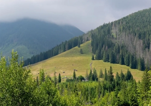 Polacy wybrali swój ulubiony kawałek przyrody. Oto zwycięzca
