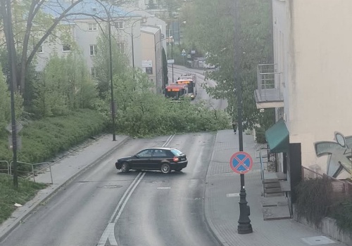 Drzewo runęło na ulicę w centrum Lublina. Przejazd jest całkowicie zablokowany