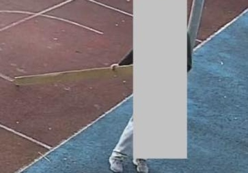 Wandal zniszczył kamery w Międzybrodziu Bialskim