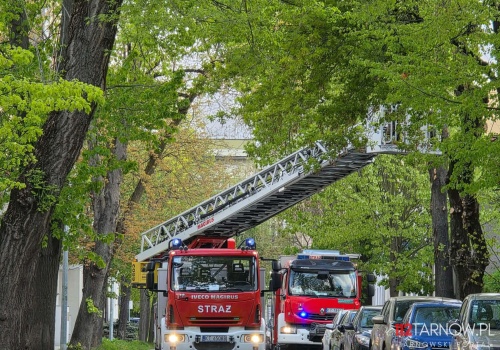 Silny wiatr w regionie. Strażacy usuwają powalone drzewa