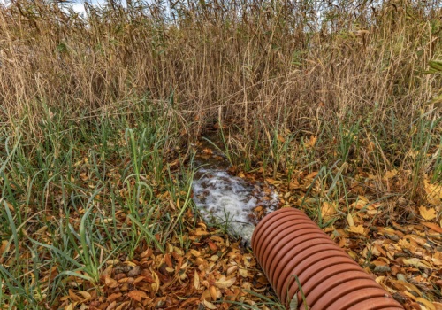Hałas, zapach, dym od sąsiada. Zobacz, czym są immisje i jak je udowodnić