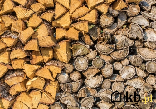 Trzymasz drewno na zapas? Po tylu latach traci kaloryczność i szkodzi
