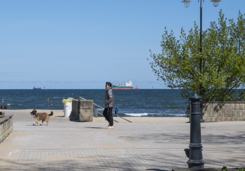 Pogodowe ostrzeżenie dla Pomorza. Silny wiatr na wschodzie województwa