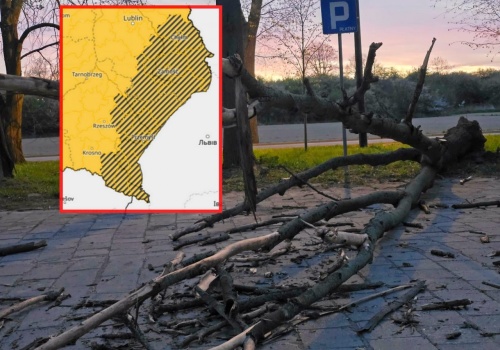 Silny wiatr w województwie lubelskim. Porywy mogą nadal osiągać ponad 80 km/h