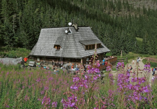 Niewielkie, a przyciąga jak magnes. 