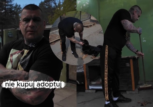 Popek wziął się za działalność charytatywną, pomaga w schronisku i poleca psy do adopcji 