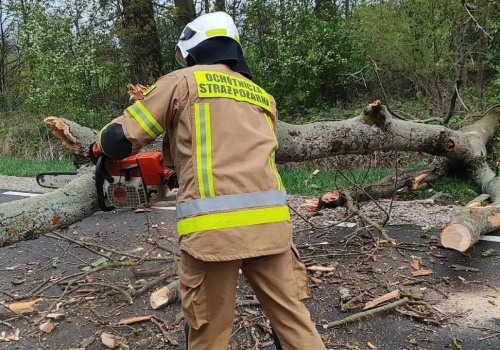 Drzewo powalone wichurą spadło na jadący samochód. Ranny kierowca trafił do szpitala