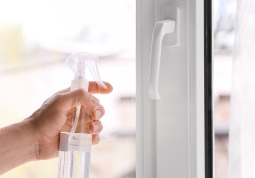 Pryskam tym ramy okienne. W mieszkaniu pachnie, a muchy już nie wlatują