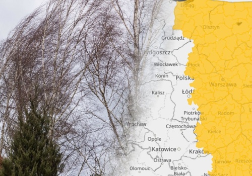 Silny wiatr nad Polską. IMGW wydał alerty, na liście dziewięć województw