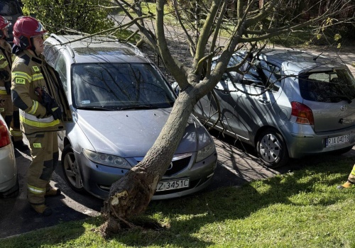Skutki wichury w Rzeszowie. Drzewo przygniotło samochód