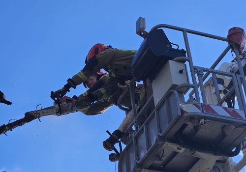 Silny wiatr nad Podkarpaciem. Strażacy interweniowali już ponad 90 razy