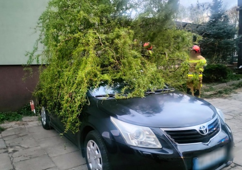 Silny wiatr w Lubelskiem. Strażacy interweniowali już 187 razy, jedna osoba poszkodowana