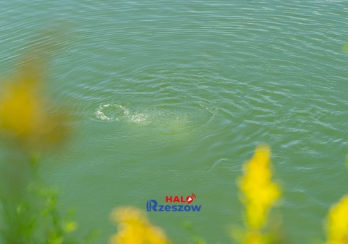 Sobotnia tragedia nad zalewem w Czarnej Sędziszowskiej. Nie żyje mężczyzna wyciągnięty z wody