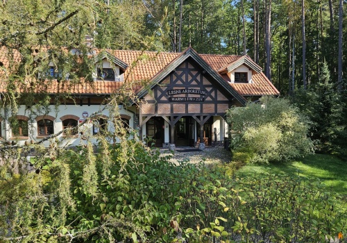 „Festiwal kolorów” w arboretum pod Olsztynem. To miejsce zachwyca wiosną i latem