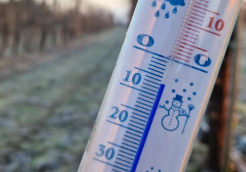 Przymrozek wraca dziś w nocy. Przy gruncie może być nawet -7°C