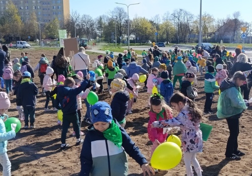 Łąka kwietna w centrum Ostrowca