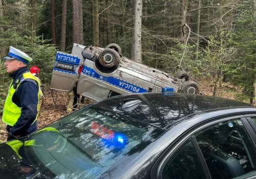 Policjanci jechali na interwencję. Nagle z lasu wybiegła sarna. Doszło do dramatu
