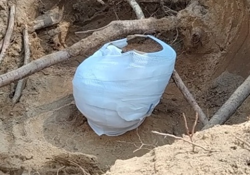 W lesie pod Spałą znaleziono skarby!