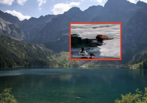 Wreszcie dał się przyłapać. Pierwsze takie nagranie z okolic Morskiego Oka