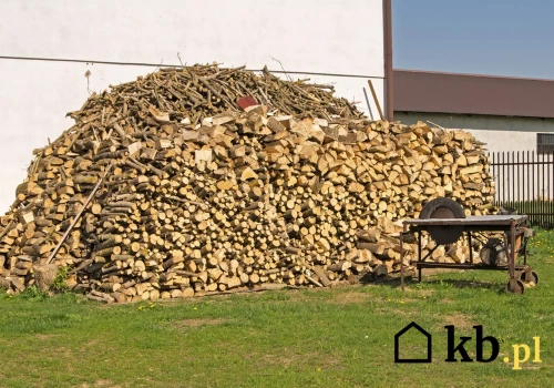 Kupujesz drewno na oko? Sprzedawca liczy metry inaczej niż myślisz. A ty tracisz nawet 40%