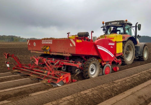 To ostatnia szansa, by kryzys branży ziemniaczanej nie pogłębił się na kolejny sezon
